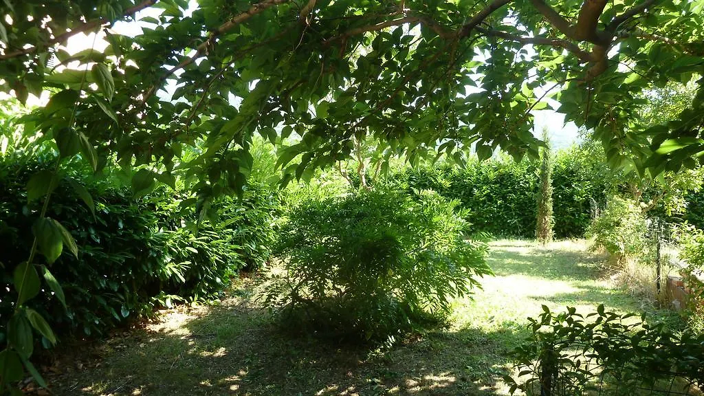 Al Vecchio Leccio Guest House Pistoia