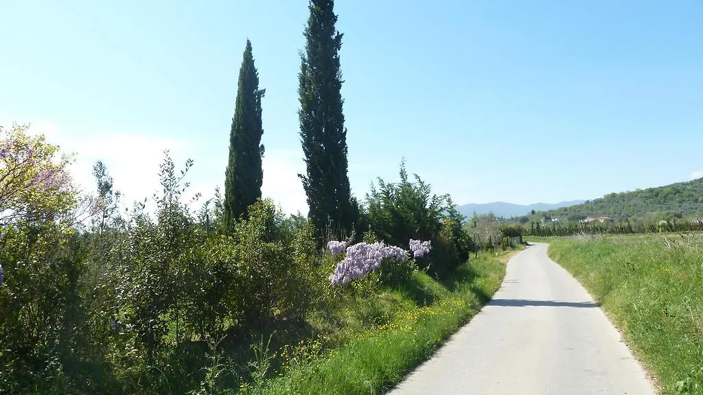 Al Vecchio Leccio Guest House Pistoia 0*,  Italy