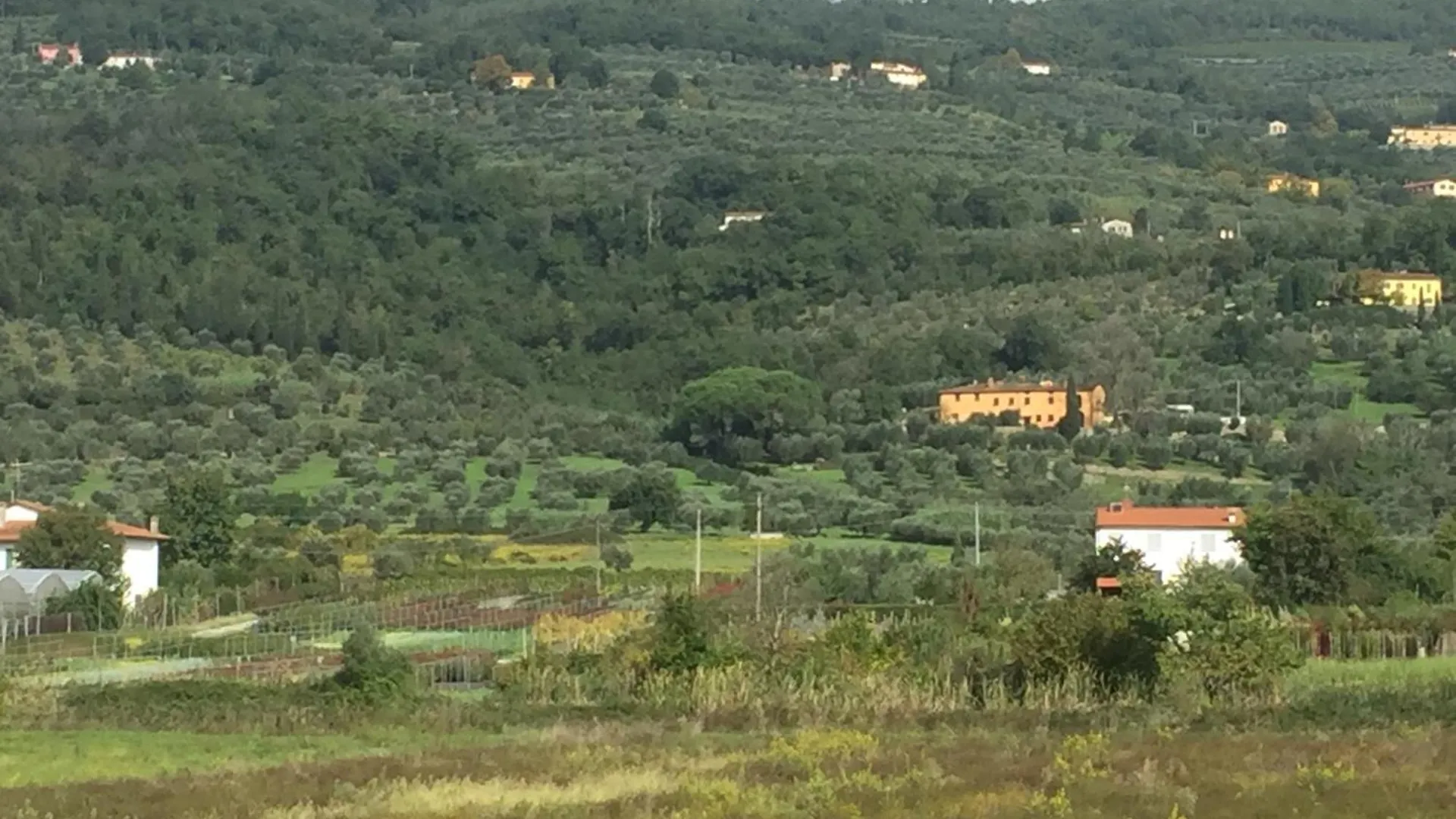Al Vecchio Leccio Guest House Pistoia Italy